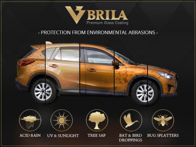 brila234